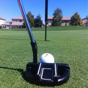 Meet your Posher, Ted